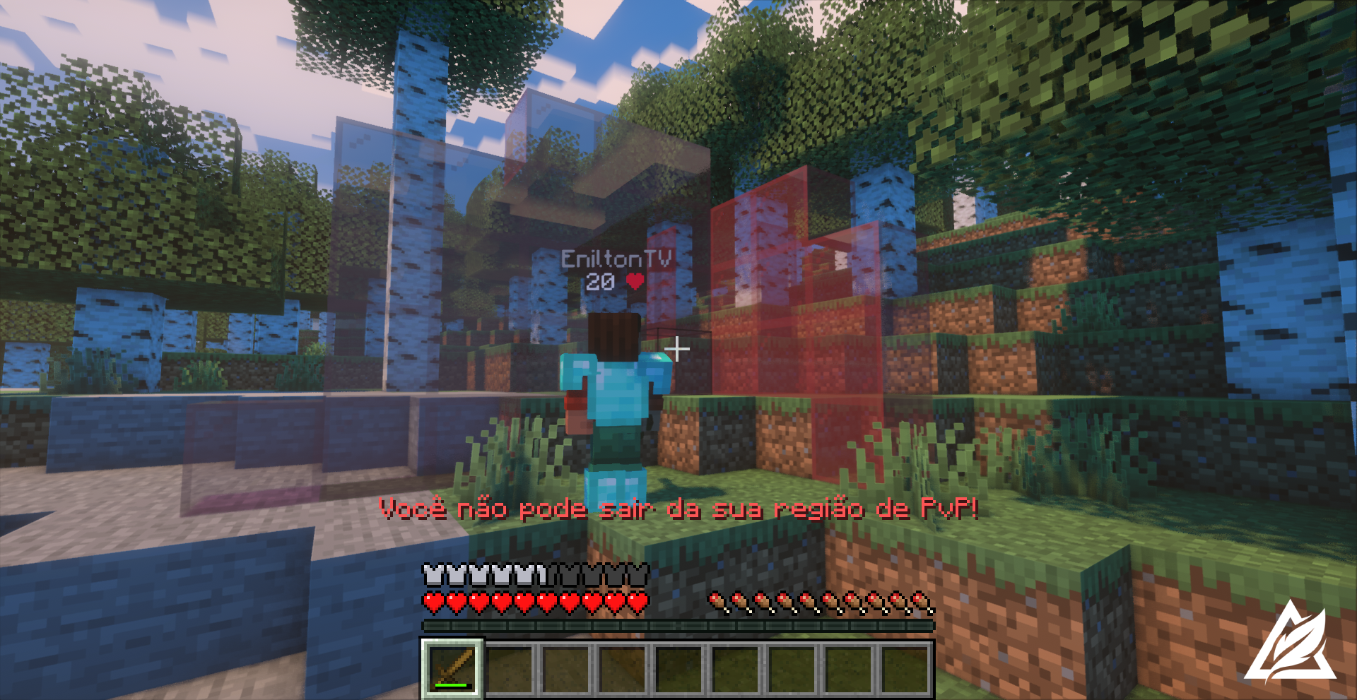 Imagem 1